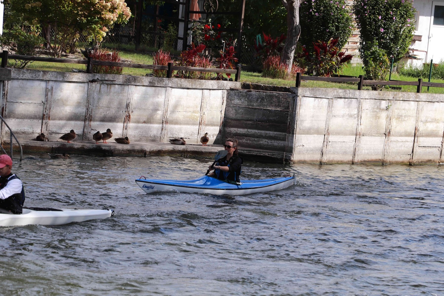 e img 3819