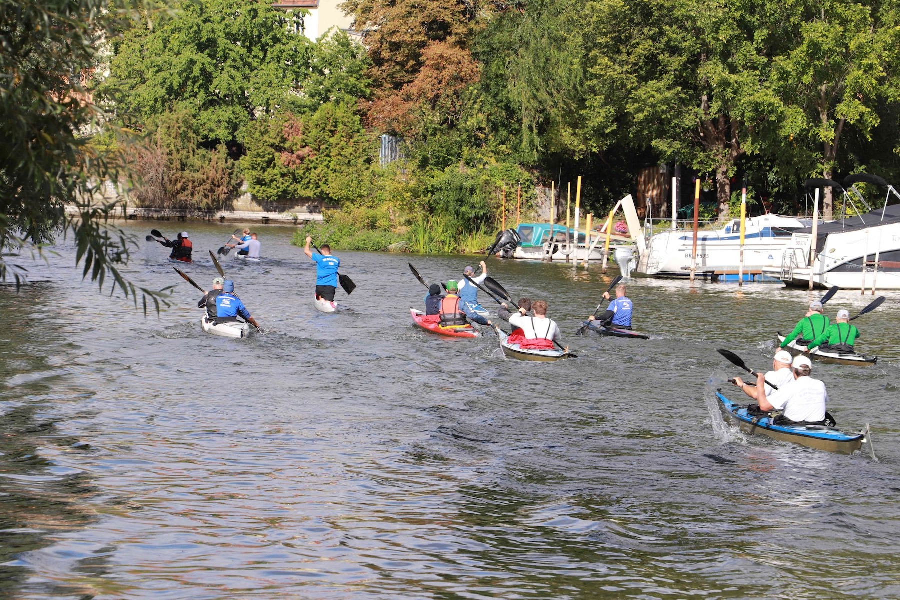 e img 3821
