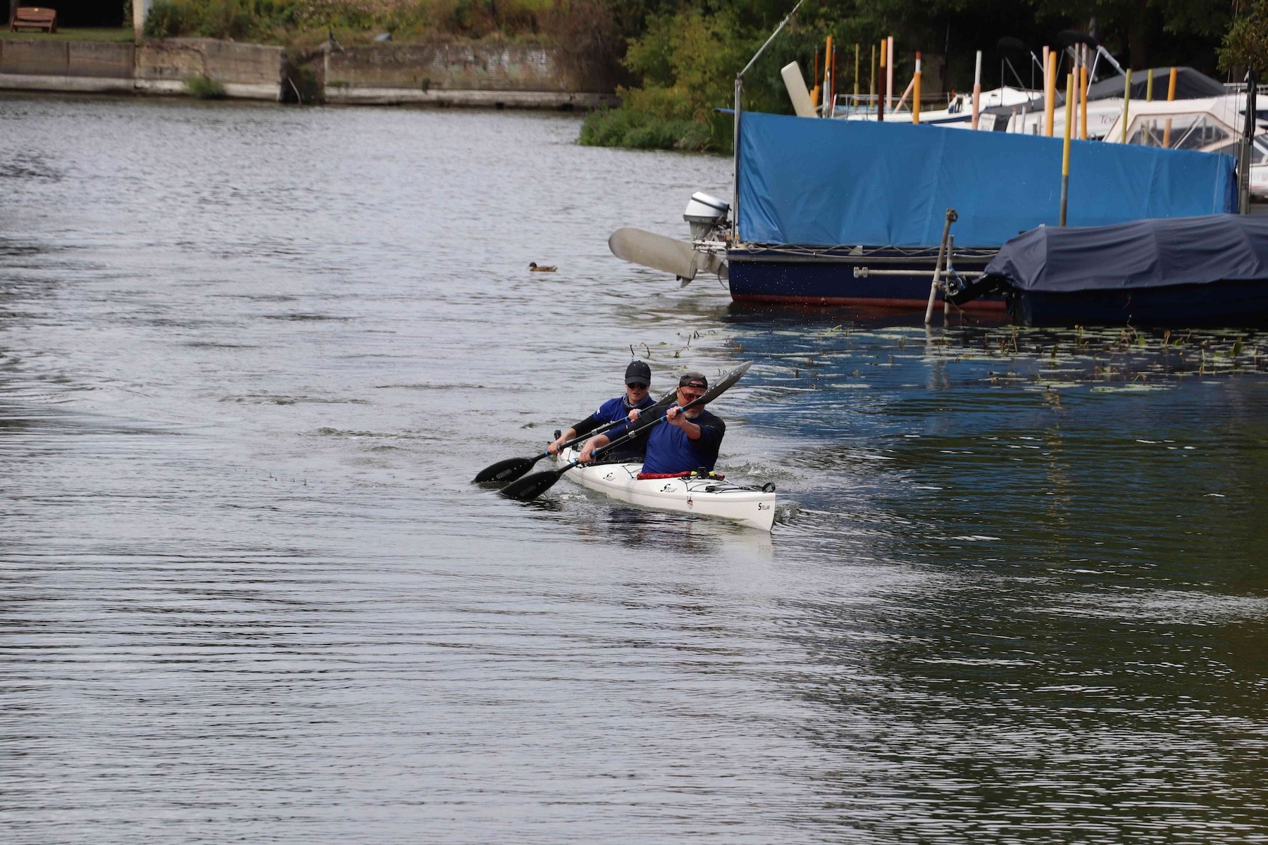 e img 3875