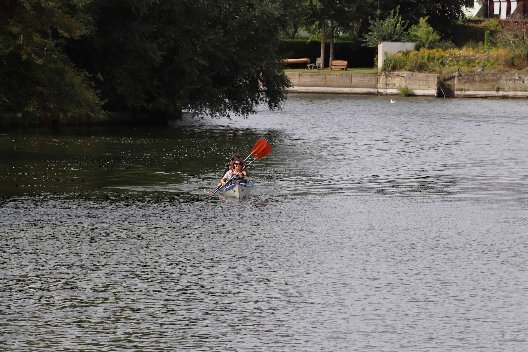 e img 3952